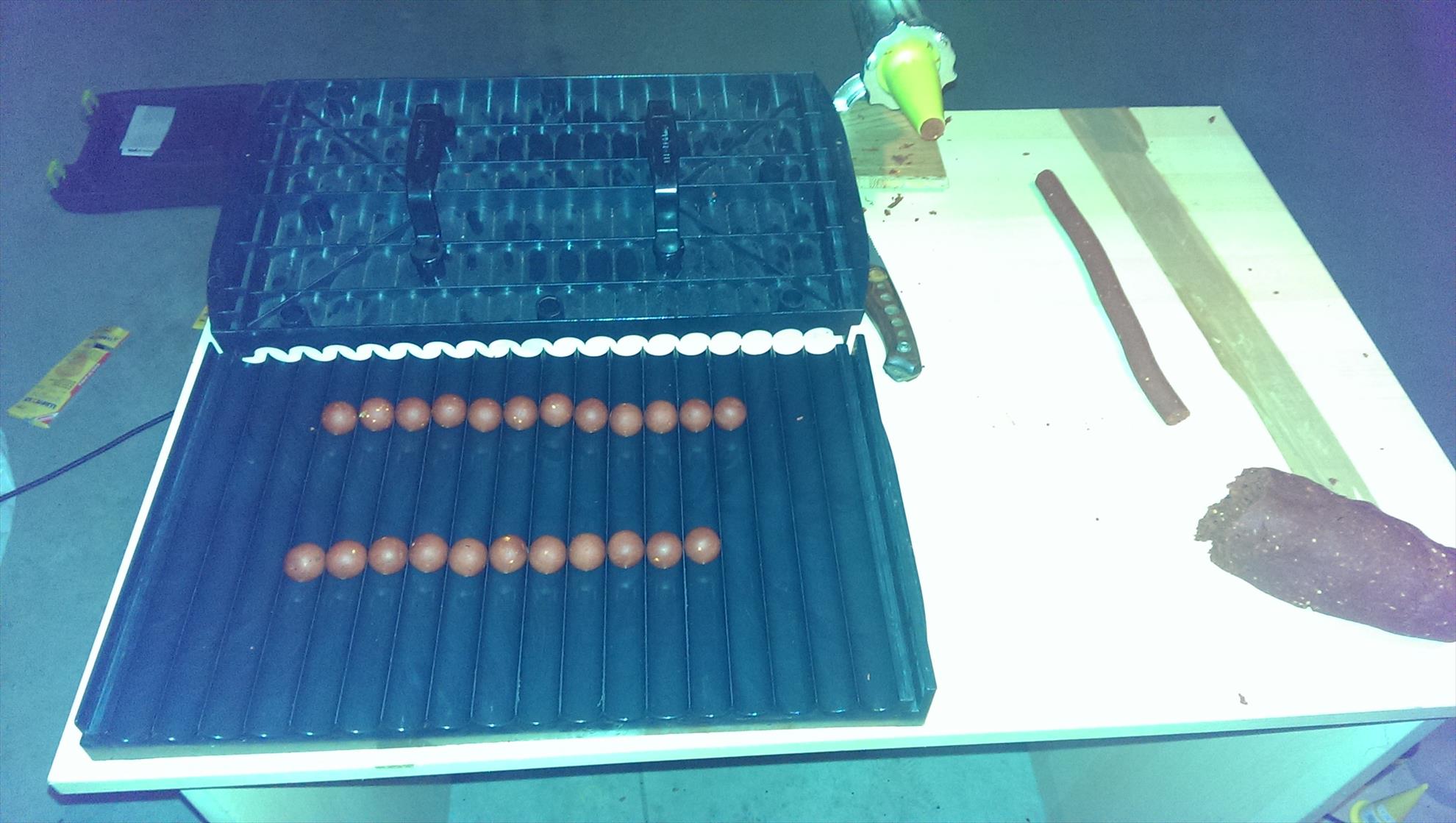 Pregatiri Carpbook ed.II - imag1224.jpg